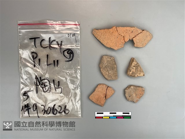 陶片藏品圖，第2張