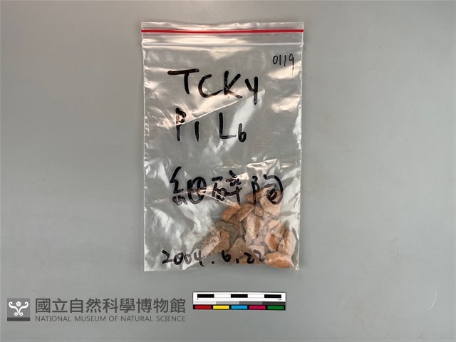 陶片藏品圖，第1張