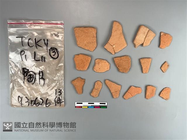 陶片藏品圖，第2張