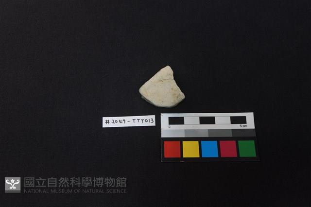 陶片藏品圖，第1張