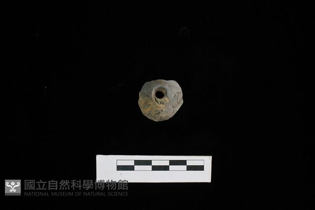 紡輪藏品圖，第1張
