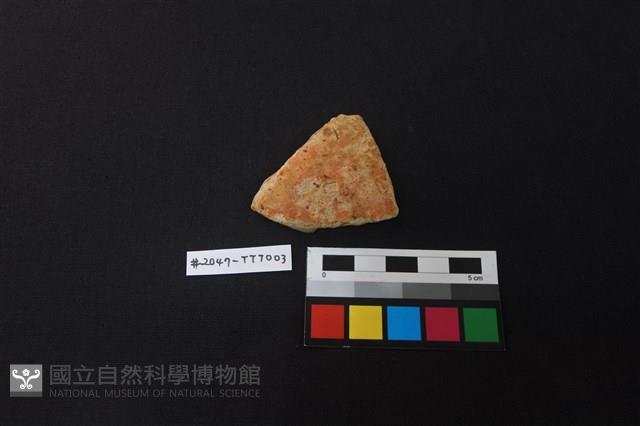 陶片藏品圖，第1張