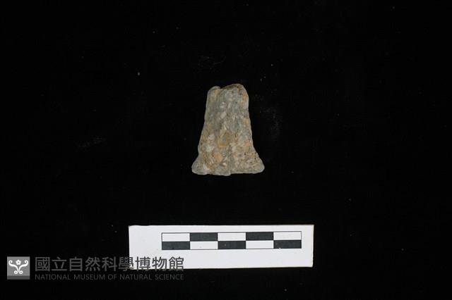 陶把藏品圖，第1張