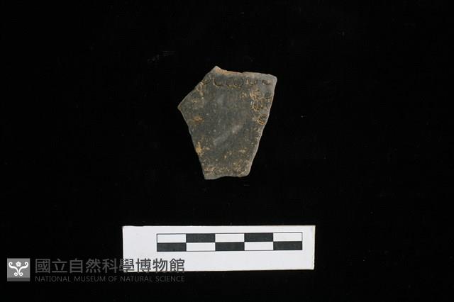陶片藏品圖，第1張
