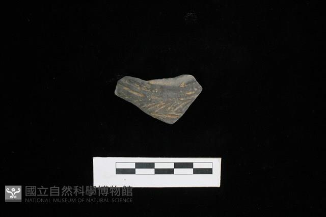 陶片藏品圖，第1張