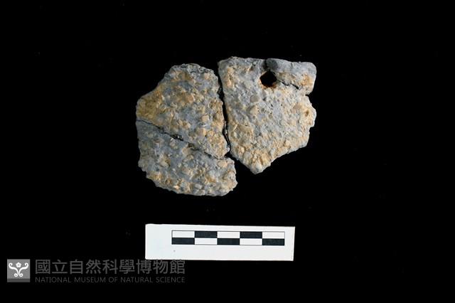 陶片藏品圖，第1張