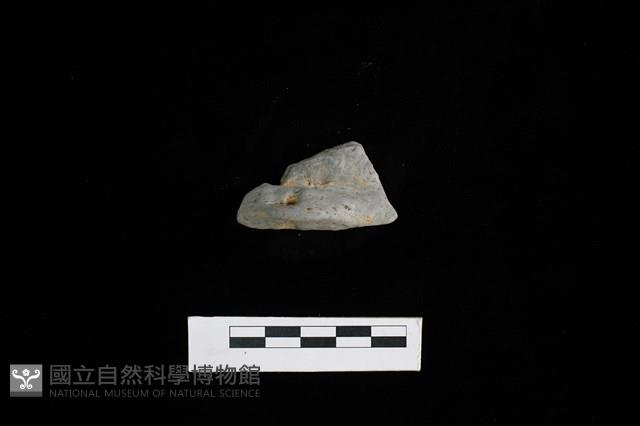 陶耳藏品圖，第1張