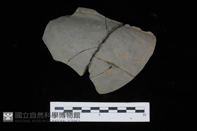 陶盆藏品圖，第1張