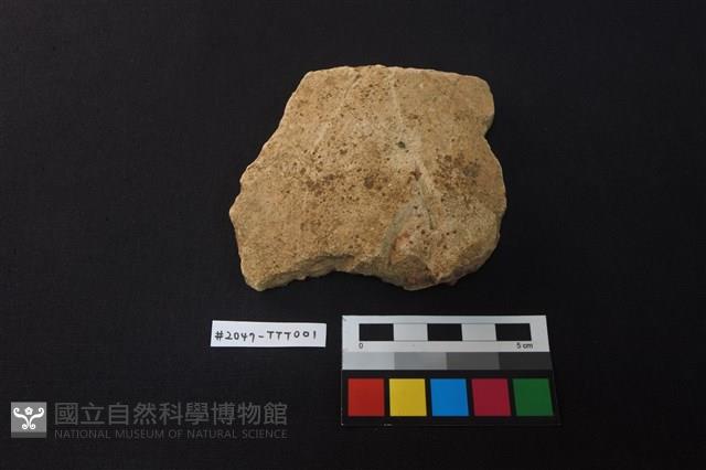 陶片藏品圖，第1張