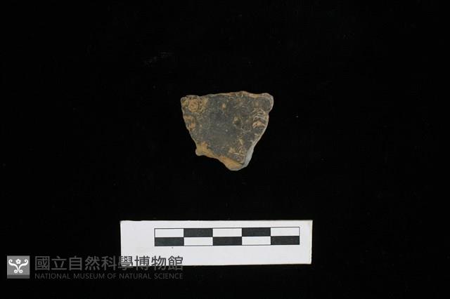 陶片藏品圖，第1張