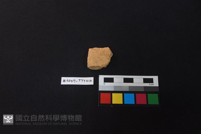 陶片藏品圖，第1張