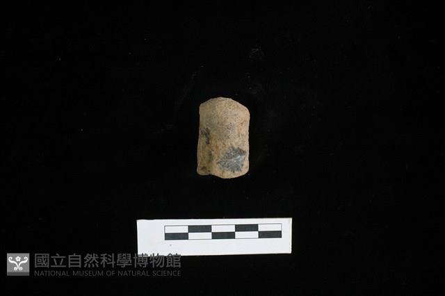 陶蓋鈕藏品圖，第1張