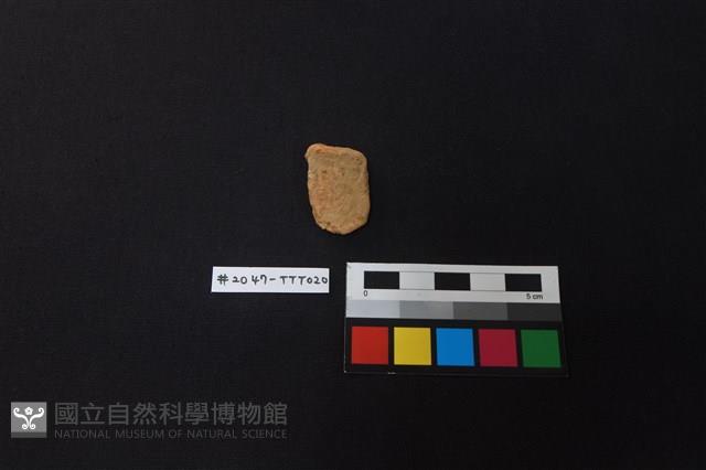 陶片藏品圖，第1張