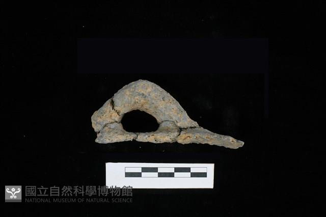 陶把藏品圖，第1張