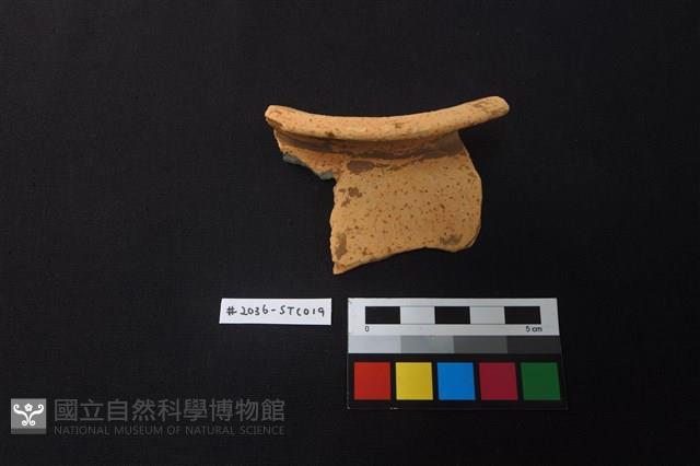 陶片藏品圖，第1張