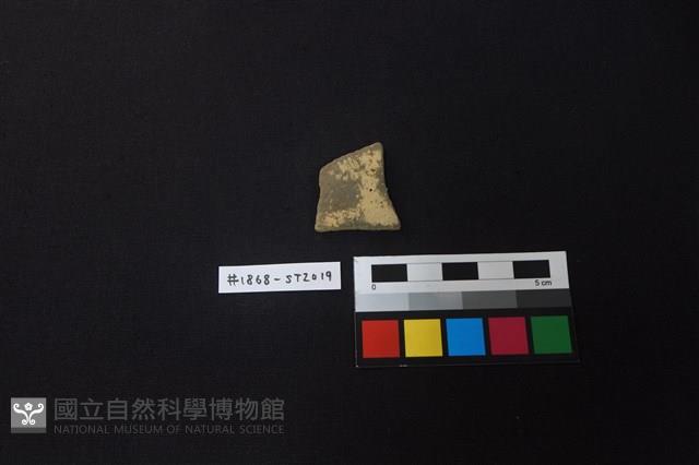 陶片藏品圖，第1張