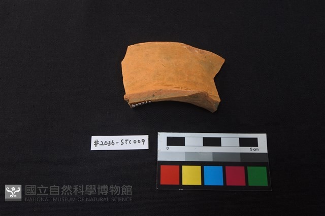 陶片藏品圖，第1張