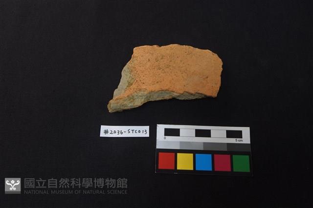 陶片藏品圖，第1張