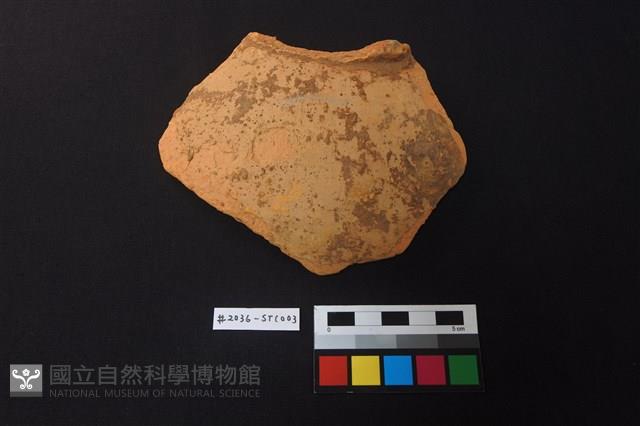 陶片藏品圖，第1張