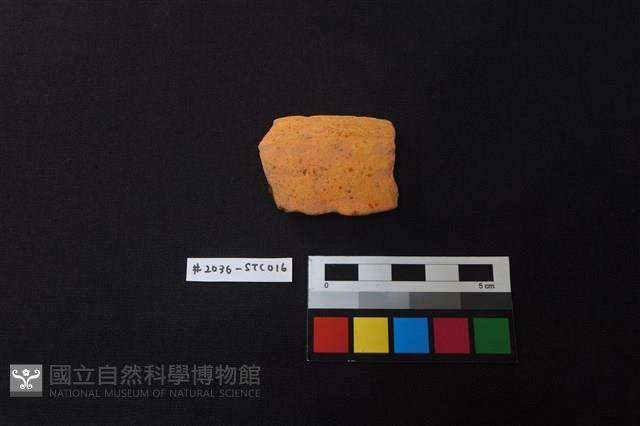 陶片藏品圖，第1張