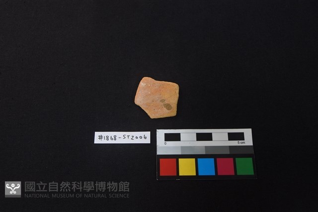 陶片藏品圖，第1張