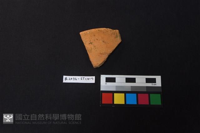 陶片藏品圖，第1張