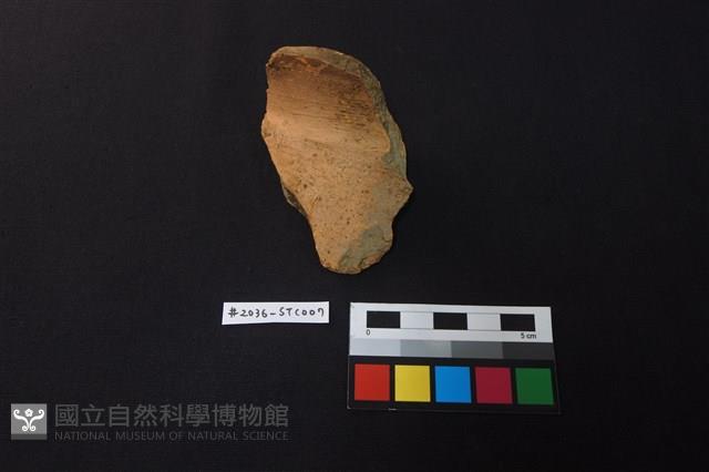 陶片藏品圖，第1張