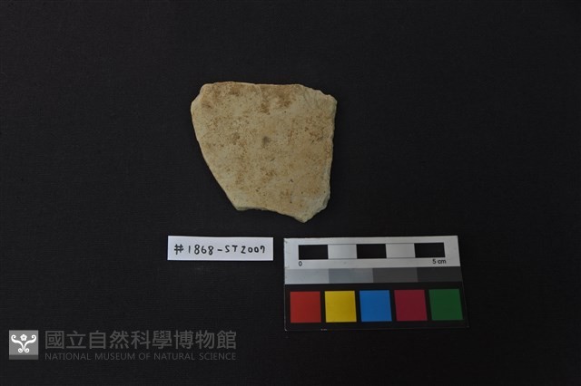 陶片藏品圖，第1張