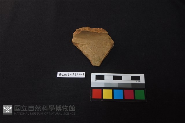 陶片藏品圖，第1張
