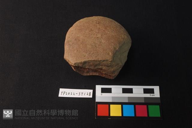 Accession Number:YP2022-ST128 Collection Image, Figure 1, Total 2 Figures