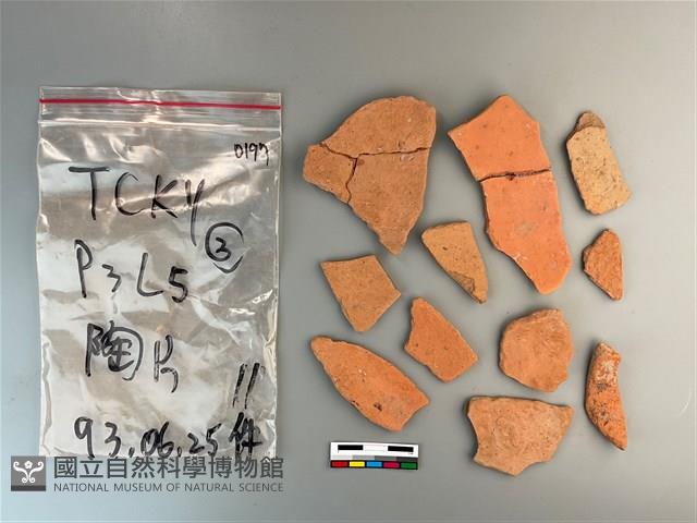 陶片藏品圖，第1張