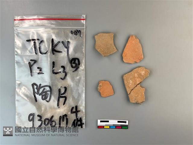 陶片藏品圖，第1張