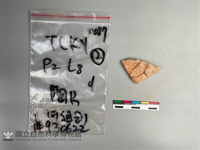 陶片藏品圖，第1張