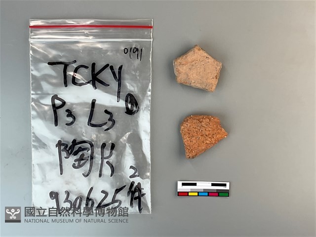 陶片藏品圖，第1張
