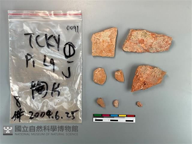 陶片藏品圖，第1張