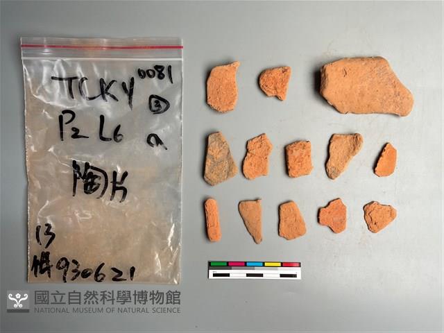 陶片藏品圖，第1張