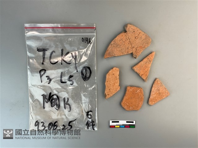 陶片藏品圖，第1張