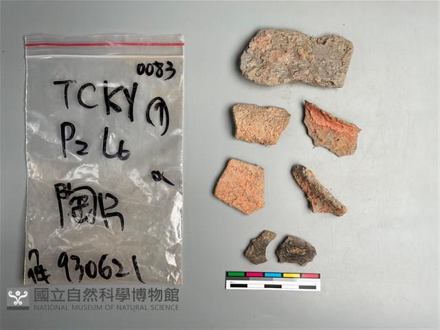 陶片藏品圖，第1張