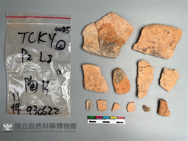 陶片藏品圖，第1張