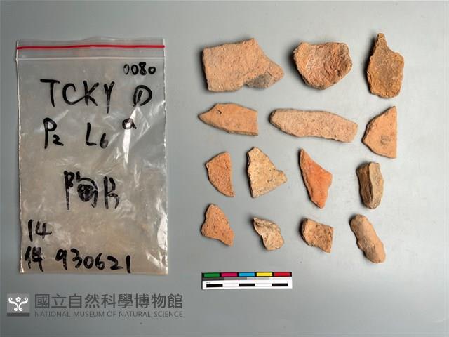 陶片藏品圖，第1張