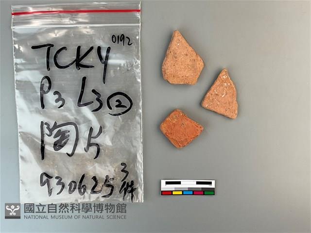 陶片藏品圖，第1張