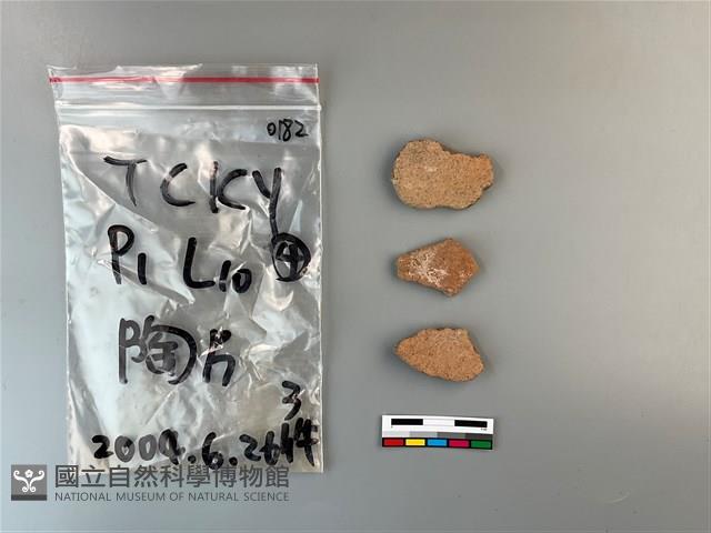 陶片藏品圖，第1張