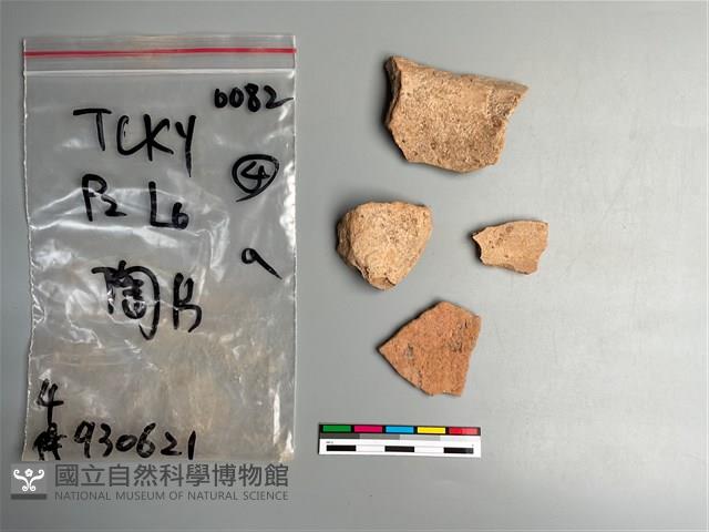 陶片藏品圖，第1張