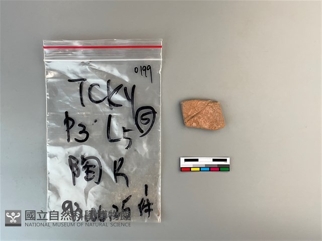 陶片藏品圖，第1張