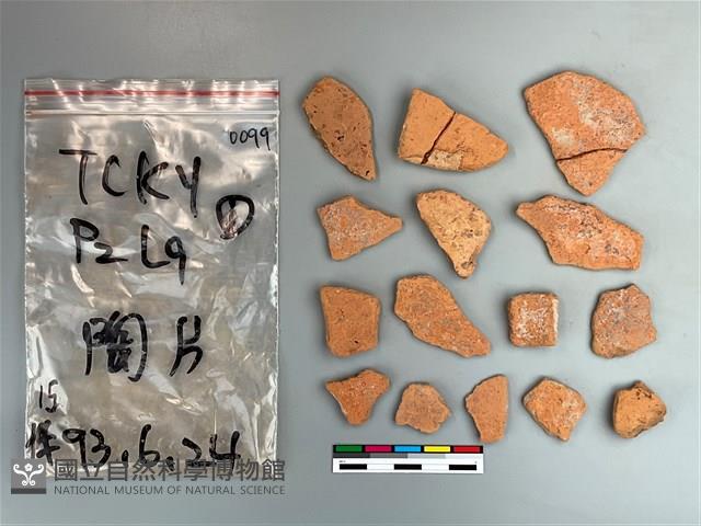 陶片藏品圖，第1張