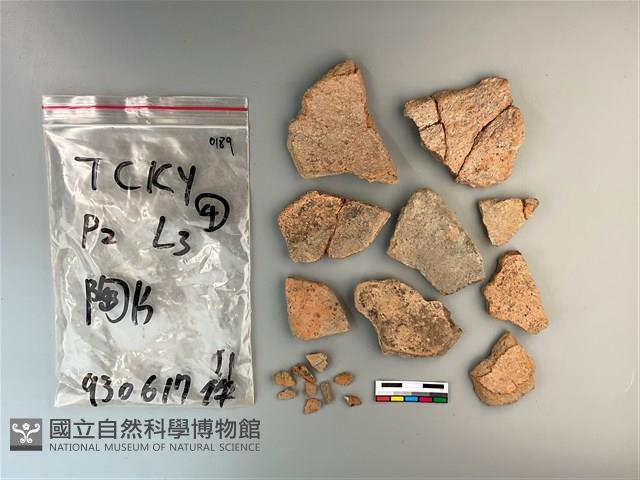 陶片藏品圖，第1張