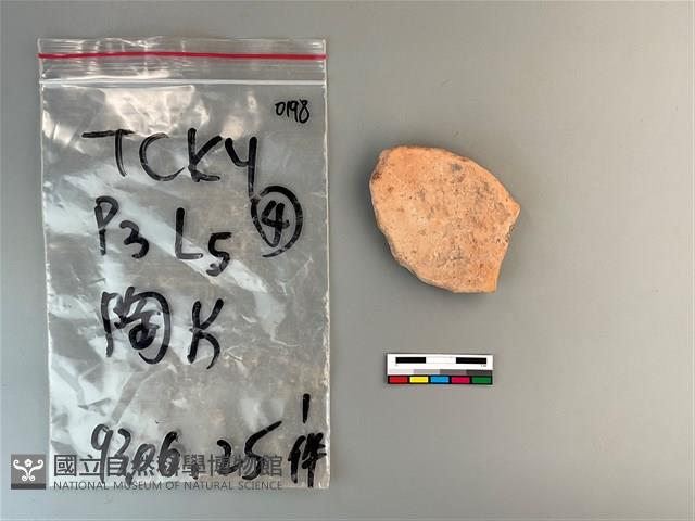 陶片藏品圖，第1張