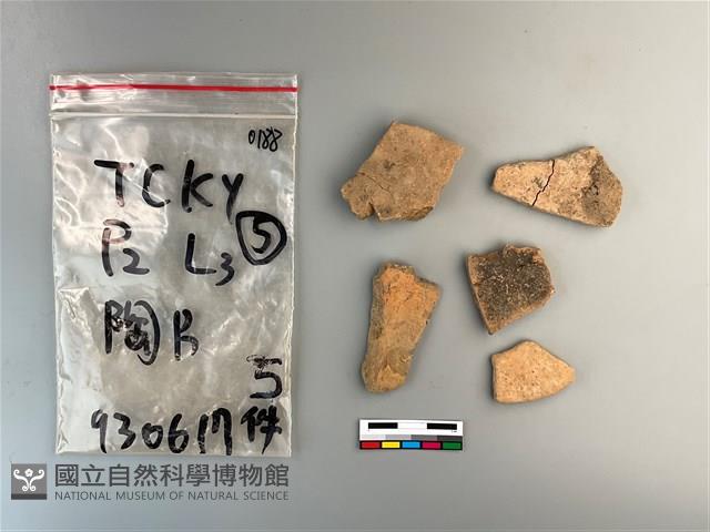 陶片藏品圖，第1張