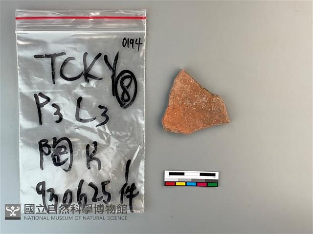 陶片藏品圖，第1張