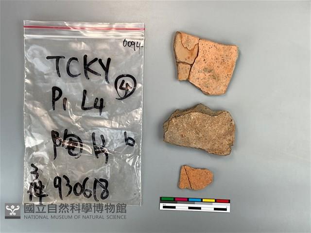 陶片藏品圖，第1張